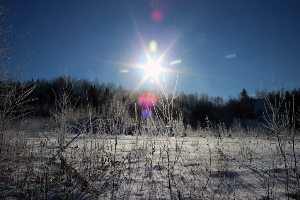 winter trail