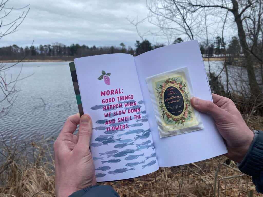 Fables of the North Shore by Natalie Salminen Rude and Jordan Sundberg, artists from Duluth, MN on Lake Superior. Book Review. Books about Fables.