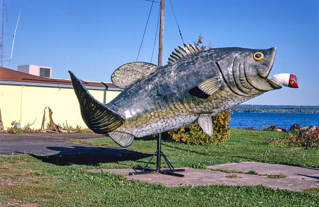 giant fish bondins on the lake 2