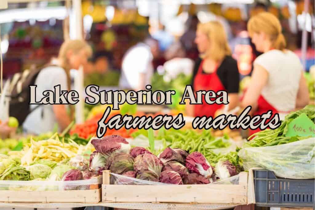 Lake Superior farmers markets general image