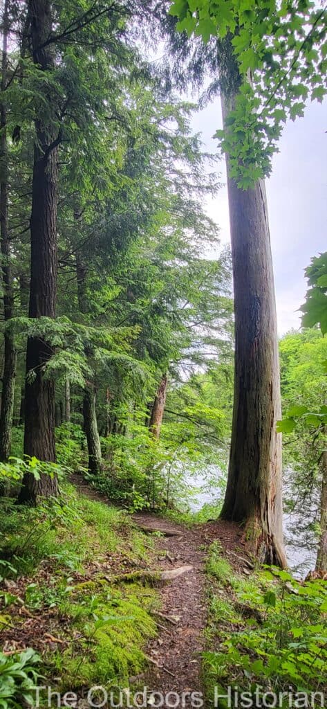 A view of the North County Trail directly along the Black River. 