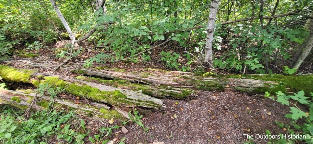 A pile of Logs on the side of the trail from the old log chute.